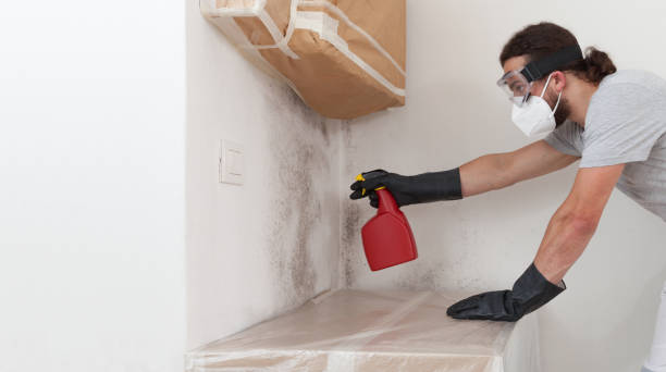 Professional Bathroom Mold Removal technician working in Fleming Island, FL